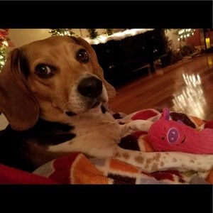 Meet your Posher, Johnny